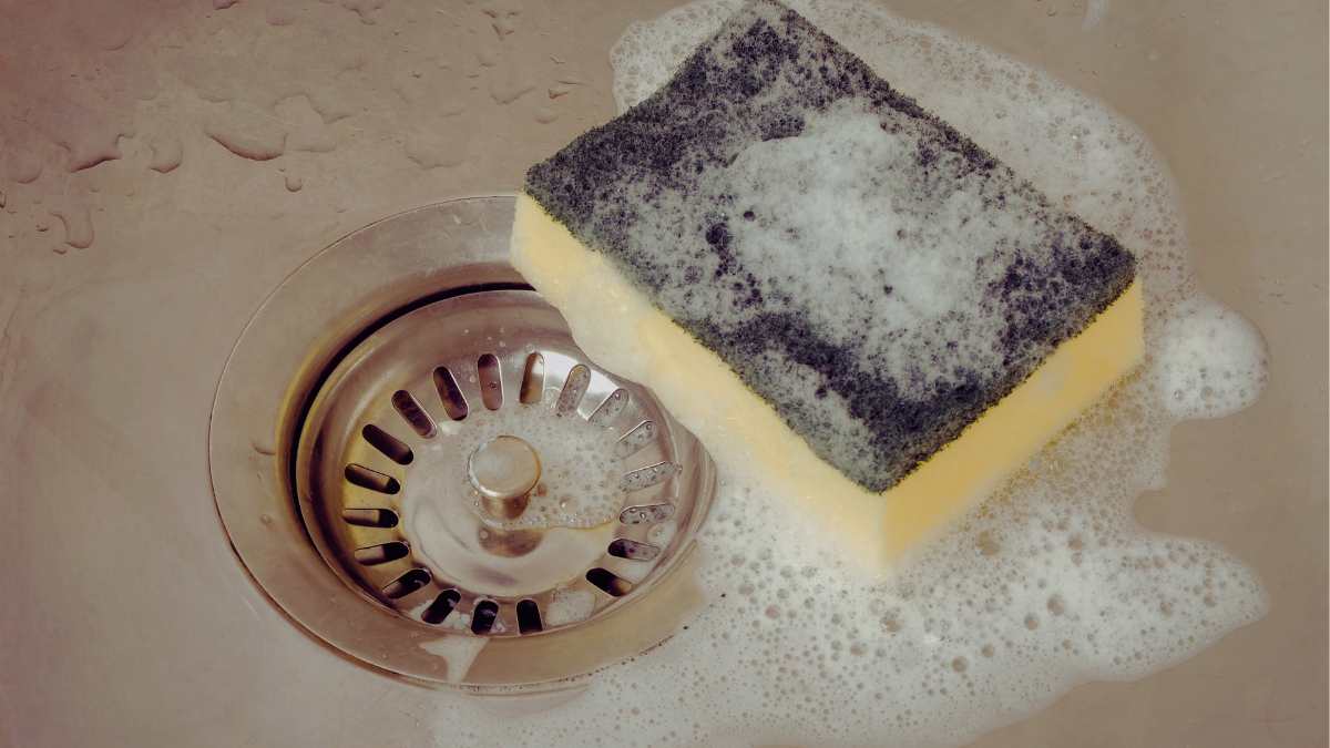 Le spugne della cucina sono un ricettacolo di batteri: come pulirle davvero